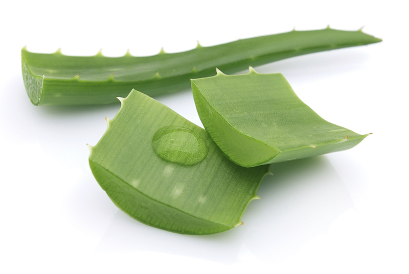 cliomakeup-maschere-mani-unghie-ricette-diy-aloe-vera